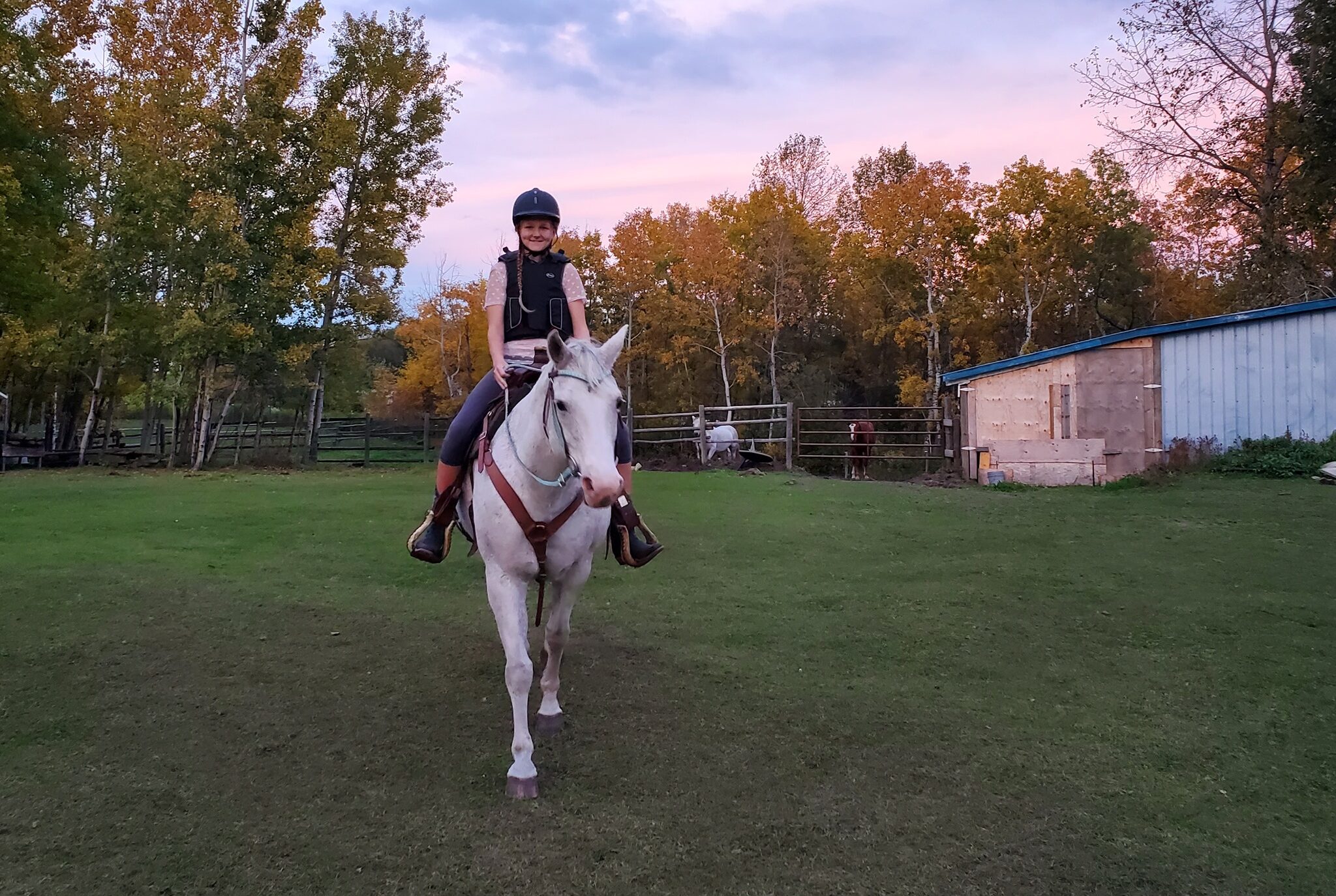 cropped-riding-lesson-10.jpg